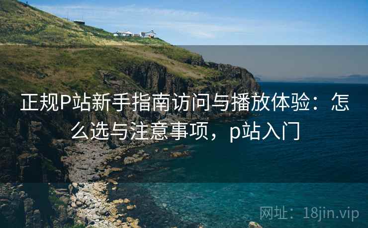 正规P站新手指南访问与播放体验：怎么选与注意事项，p站入门